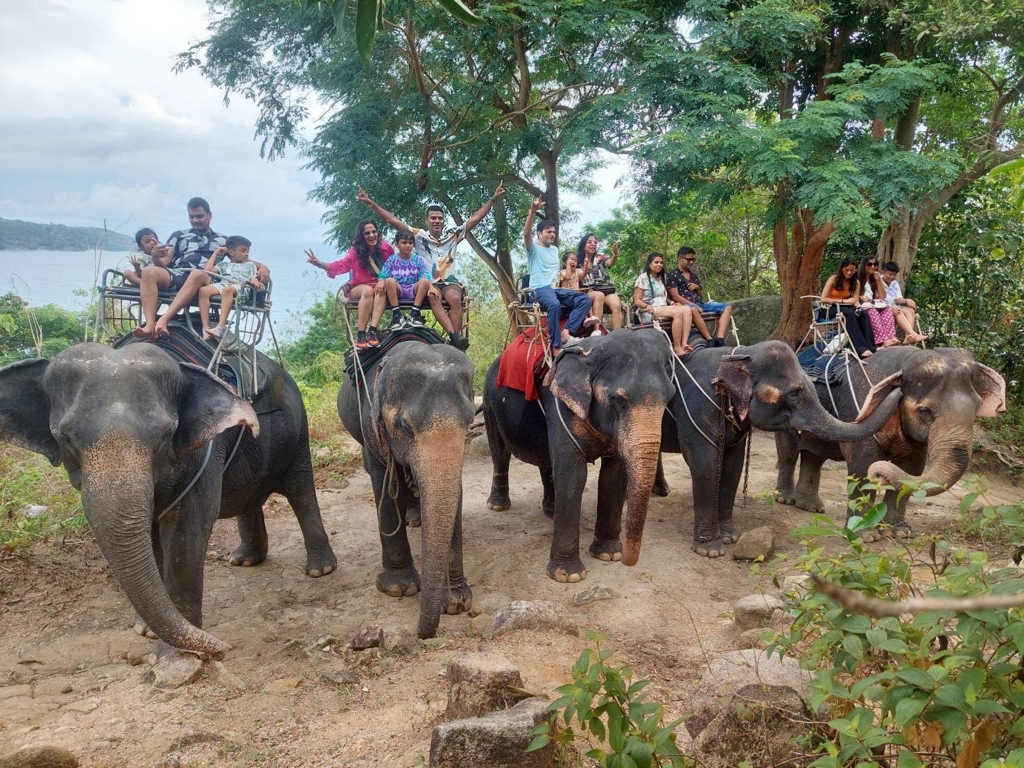 Elephant Care + Riding+Feeding + Elephant Bathing in the Jungle Pool