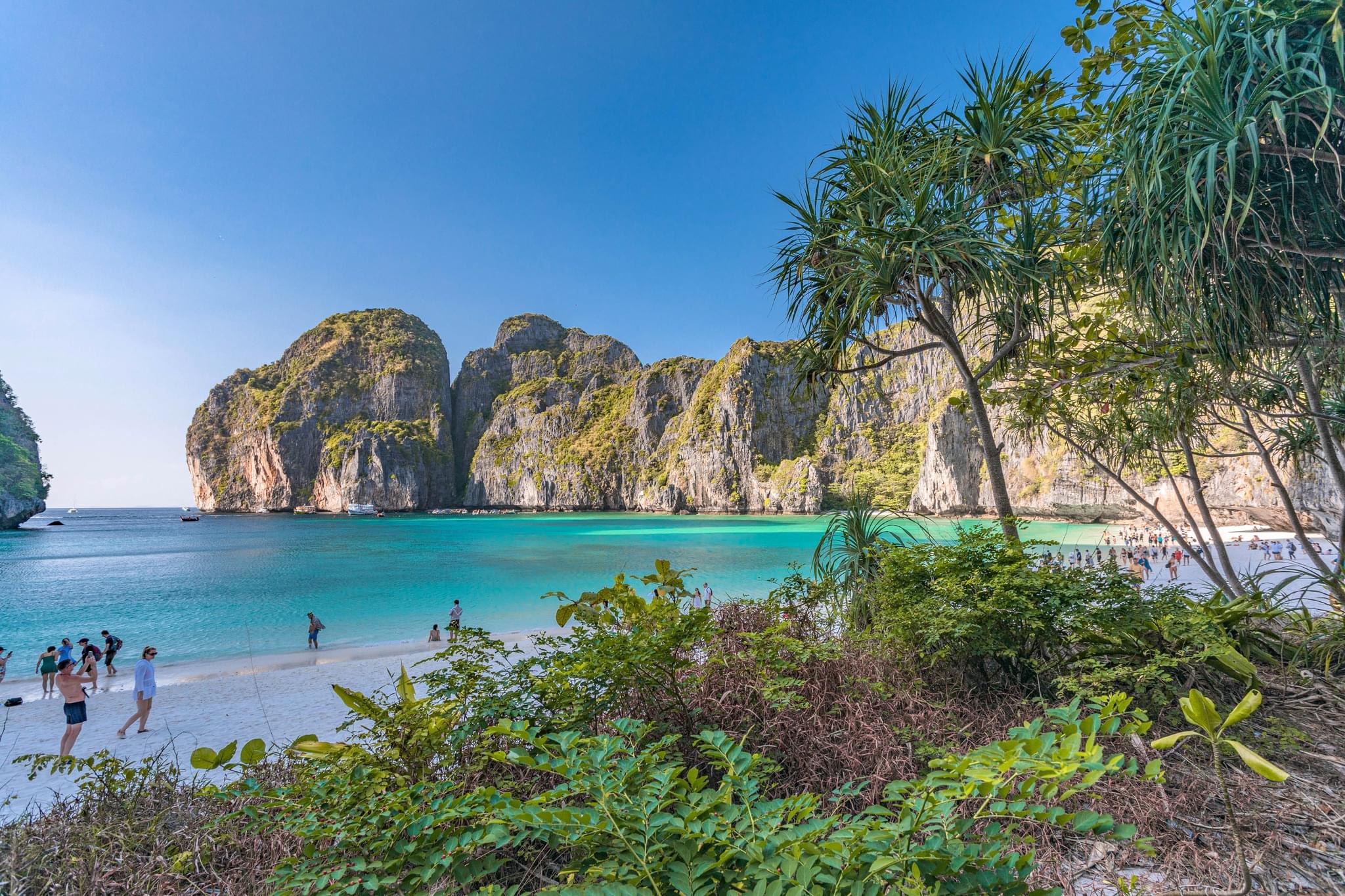 Phi Phi + Maya Bay + Khai Island by premium Catamaran Speedboat