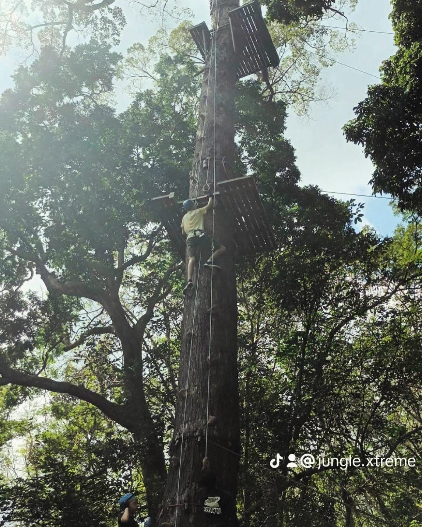 Cable Jungle Zipline Adventure Tour