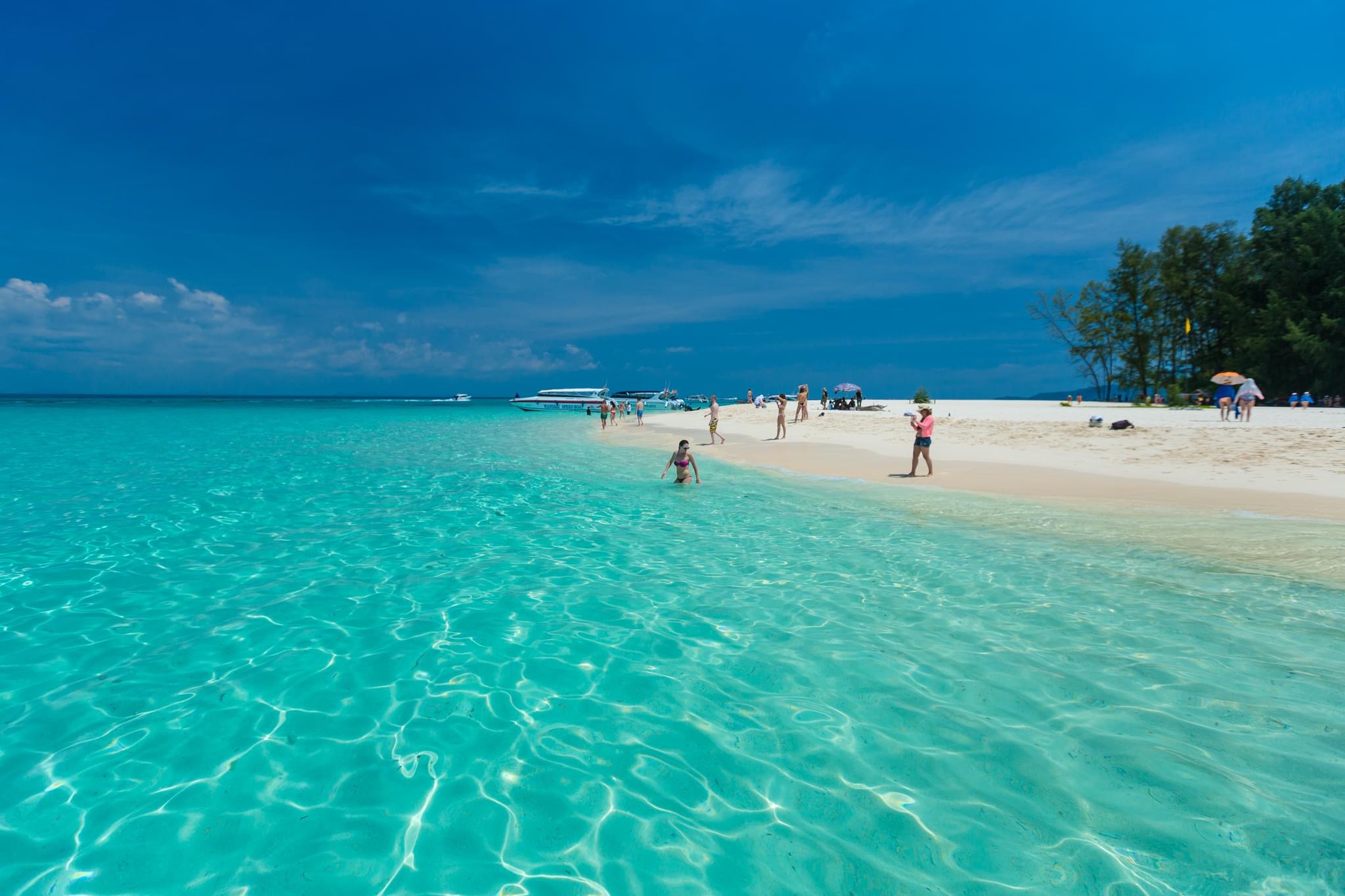 Phi Phi + Maya Bay + Bamboo Islands by NEW PREMIUM SPEED CATAMARAN BOAT