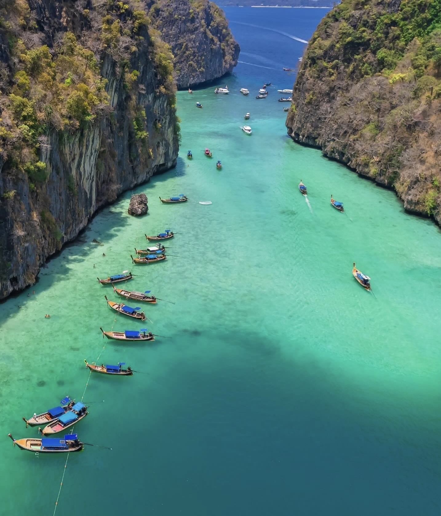 Phi Phi + Maya Bay + Khai Islands All Exclusive Tour by Speed Boat (Pick up at 8 AM)