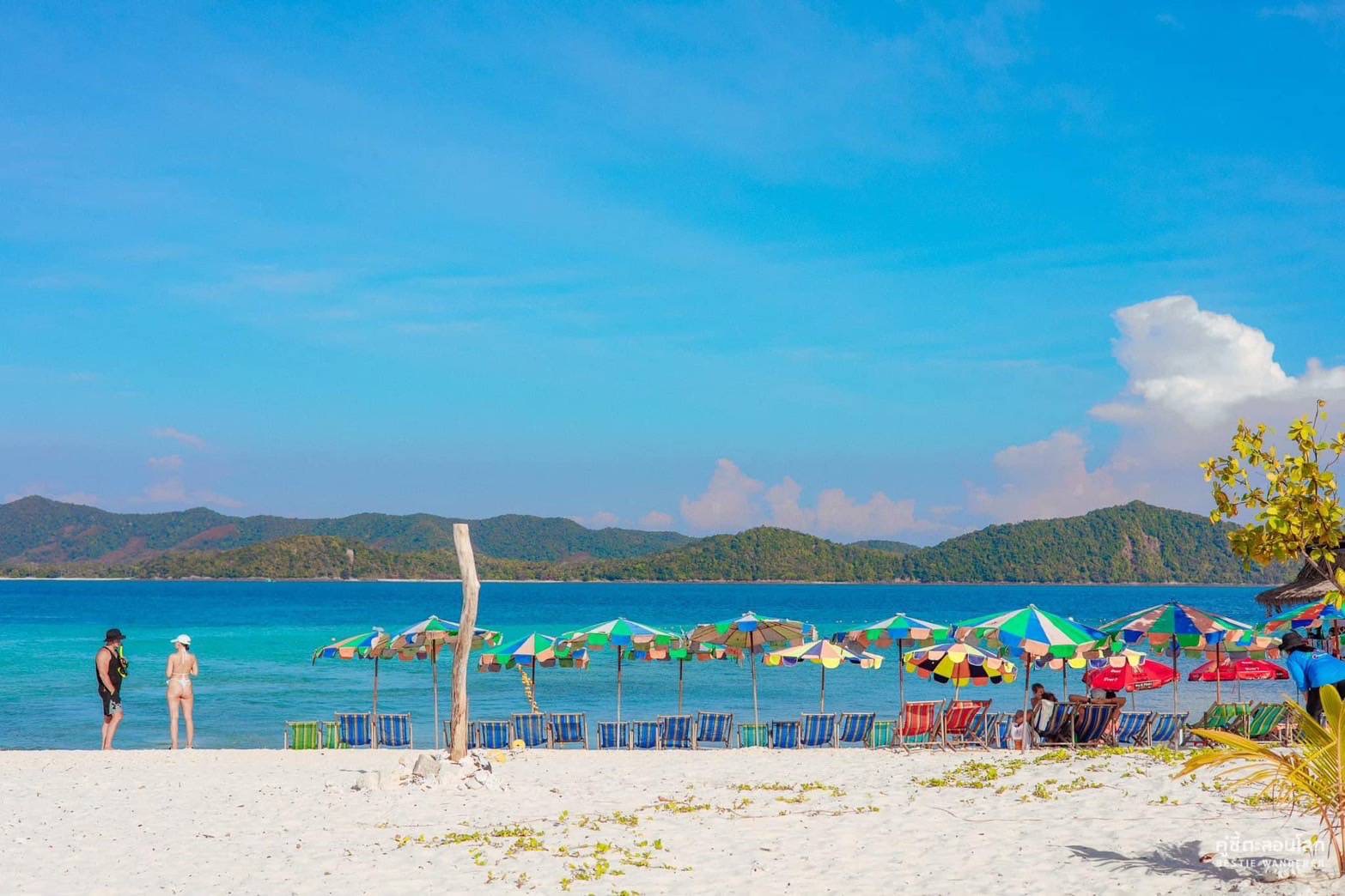  Phi Phi Island Tour by Speedboat (VIP Services) Pick up at 9 AM
