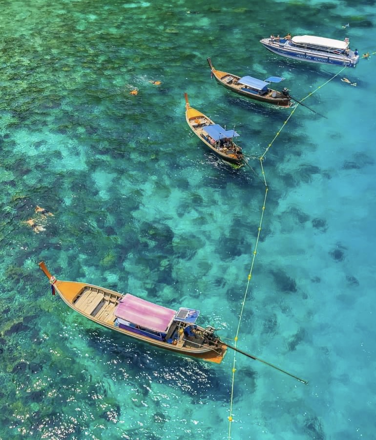 Phi Phi + Maya Bay + Bamboo Islands Premium Tour by Speed Boat (VIP Services)