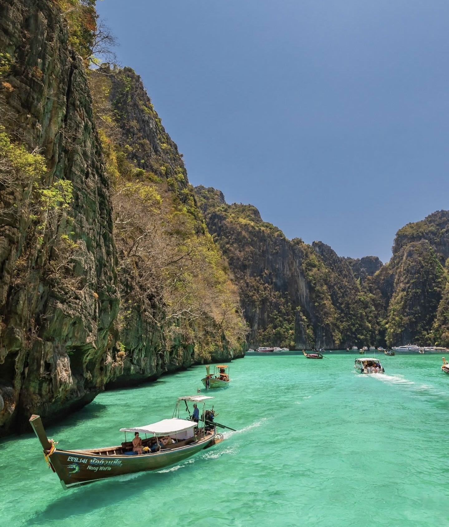 Phi Phi + Maya Bay + Bamboo Islands Premium Tour by Speed Boat (VIP Services)